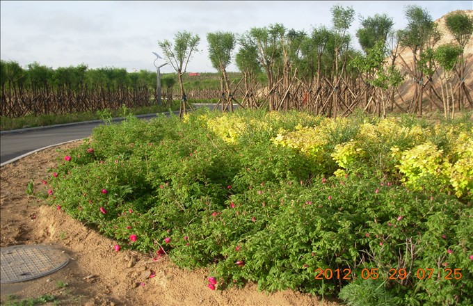 DSCN3227.JPG